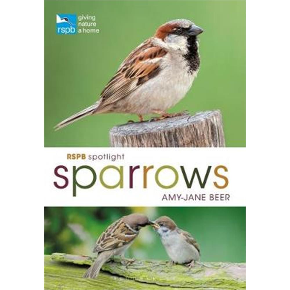 RSPB Spotlight Sparrows (Paperback) - Amy-Jane Beer